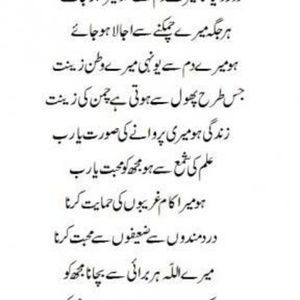 Meet your Posher, Afreen